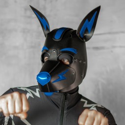 X3 Pup Hood - Black/Royal