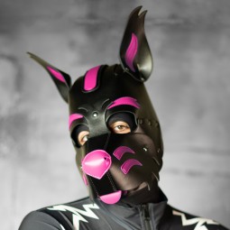 X2 Pup Hood - Black/Pink