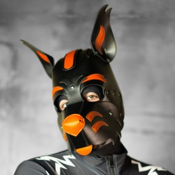 X2 Pup Hood - Black/Orange