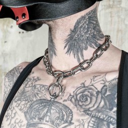 Stainless steel chain collar