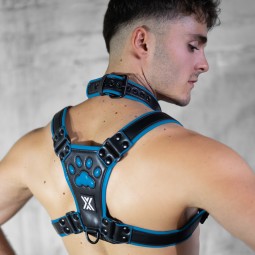 PUX Collar 4cm black/blue -...