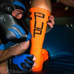 Skater Socks PUP -...