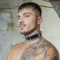 Premium 4cm Cowhide Collar...