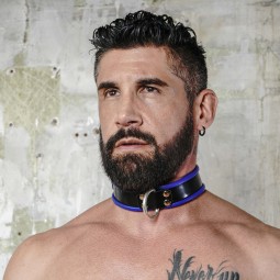 Premium 4cm Cowhide Collar...